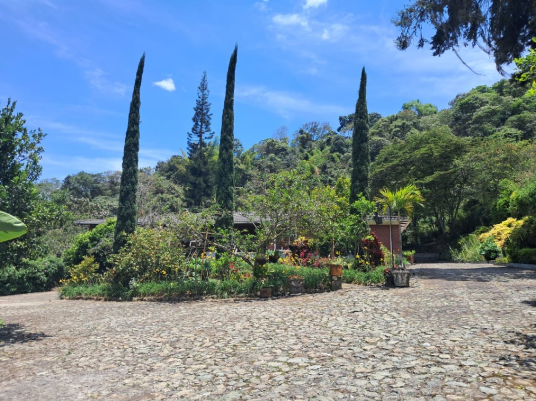 Palmira - El Cerrito, Palmira, Valle del Cauca, Colombia 5